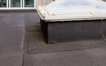 disadvantages of Chedzoy flat roofs