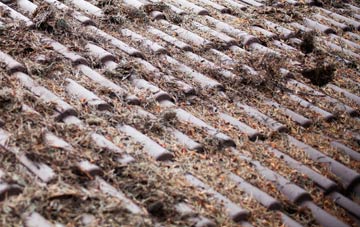 Chedzoy roof cleaning companies